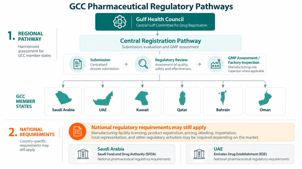 How the GCC Handles Drug Registration and GMP