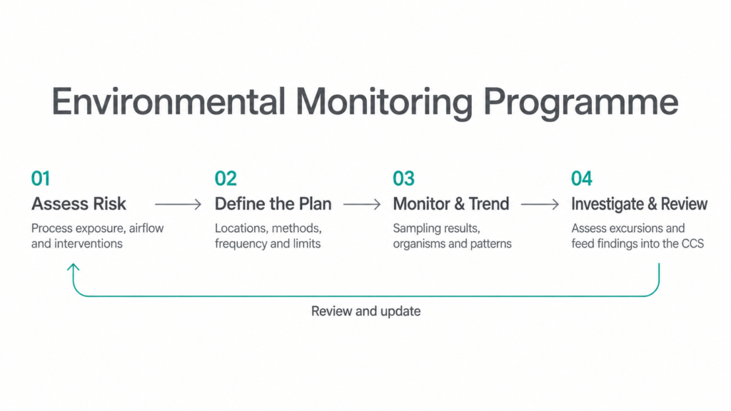 Next Steps: Build Your Program in Order